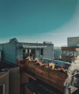 The Silver Top by Homester - 3