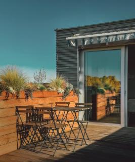 The Silver Top by Homester - 5