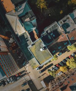 The Silver Top by Homester - 2