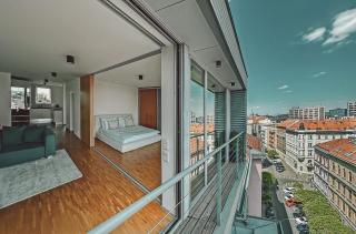 The Silver Top by Homester - 9