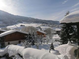 2 prvilb54 - Agreable studio coin-nuit idealement situe - 5