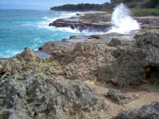 Spacious oceanfront 2BR apartment in Perla Marina - 8