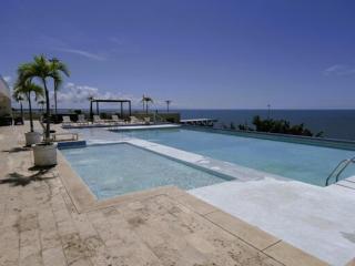 Pristine and spacious luxury in Panama - 7