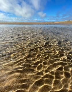 Mon coin de Paradis - 8