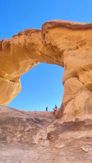 Wadi Rum Desert Life - 3