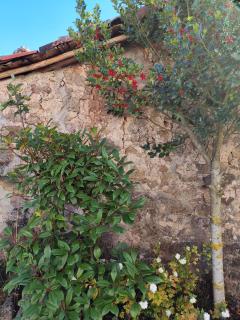 El Solano-La Gallega - 3