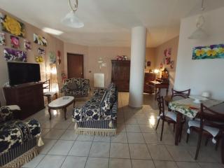 I Fiori di AminA Le Viole - 2