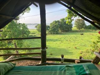 Jungle Tree Hut Anuradhapura Sri Lanka - 3