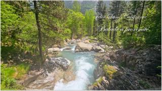 Au gré du Gave de Pau RDC - 1