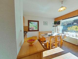 Appartement cosy au pied des pistes - 4 pers, parking - FR-1-241-168 - 4