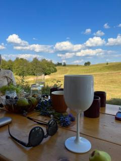 GUEST HOUSE PRIVAL.CLUB - Žabljak - 3