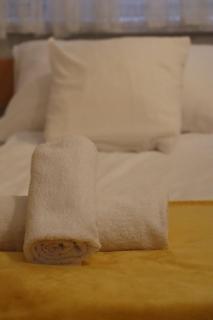 Apartment RENA - private parking - 5