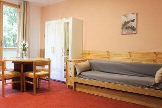 Apartment - ski slopes - 0