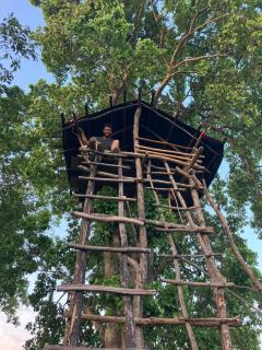 Jungle Tree Hut Anuradhapura Sri Lanka - 2