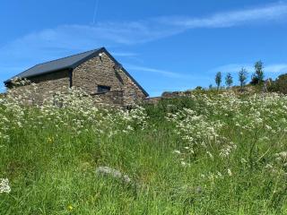 Top Riley Holiday Cottages - 7