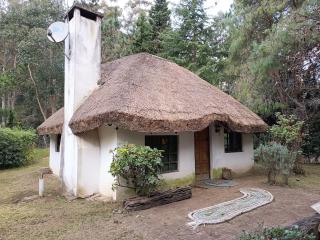 Casa Quincho en el Bosque - Punta del Este - 5