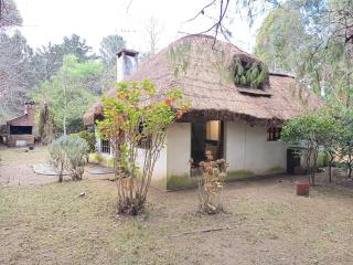 Casa Quincho en el Bosque - Punta del Este - 4