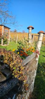 Gozdarjeva hiška M&K - 8