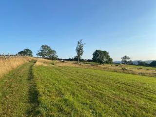 Top Riley Holiday Cottages - 3