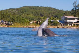 Aconchego em Laguna - 2