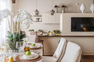 The Mosaic House - 1