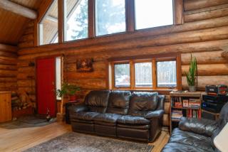 Moose Mountain Cabin- Cozy retreat with aurora views - 6