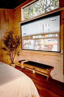 Private Couples Retreat Scenic Hottub -Fireplace - 8