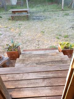 Mis dos amores diablo - 8