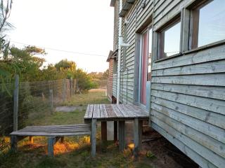 Mis dos amores diablo - 6