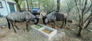 Marloth Birdhaven - 7