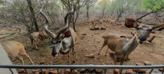 Marloth Birdhaven - 6