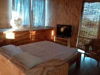 Mis dos amores diablo - 1