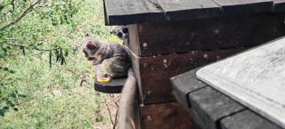 Marloth Birdhaven - 3