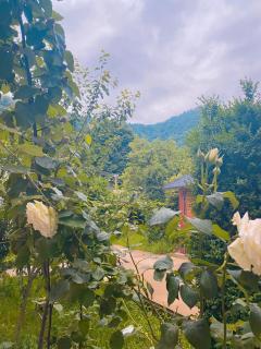 Green Garden Resthouse - 6