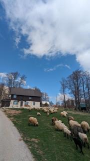 GUEST HOUSE PRIVAL.CLUB - 5