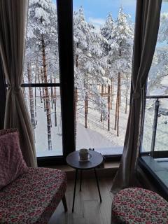 MONA Apartman Divčibare - 2