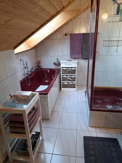 Haus Schluchseeblick - 9