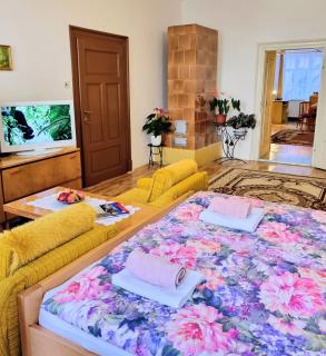 Apartment in a historical house in the center of Levoča - Levoča - 0