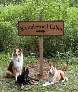 Ramblewood Cabin - PrivateTrails - Hocking Hills - 3