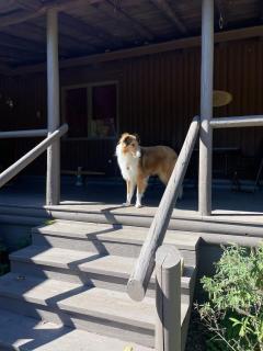 Ramblewood Cabin - PrivateTrails - Hocking Hills - 1