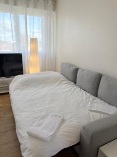 Le Pasteur Élégant T2 au centre de Mulhouse - 6