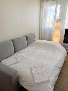 Le Pasteur Élégant T2 au centre de Mulhouse - 7