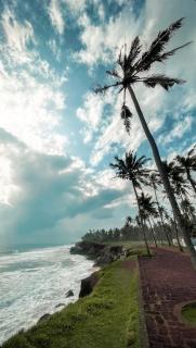 villa mud apples - 5