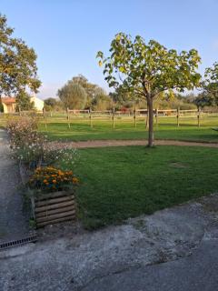 Hebergement calme et verdoyant - 3