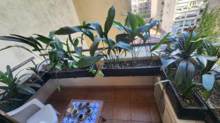 Hestia at Recoleta Cozy & Bright 1 BDR amenities - Buenos Aires - 4