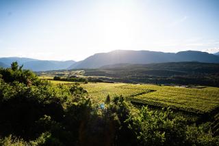 Residence Tannhof - Kaltern - 7