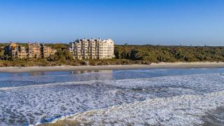 WS5123: 5123 Windswept - 5