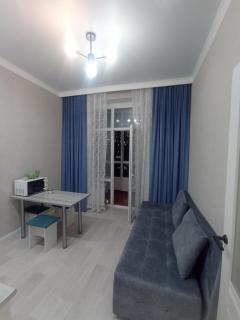 ЖК Grand Champion, Ботанический сад, Барыс Арена, Астана Арена, Кардиоцентр 335 - 9