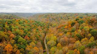 The Greenhouse with Indoor Slide close to Hocking Hills - 5