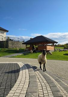 Pensjonat Perła Pienin - 1